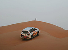 开云APP-沙尔克彻底乱套！技术总监下课+伊比解约+两人停训