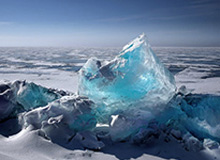 开云APP-沙尔克彻底乱套！技术总监下课+伊比解约+两人停训